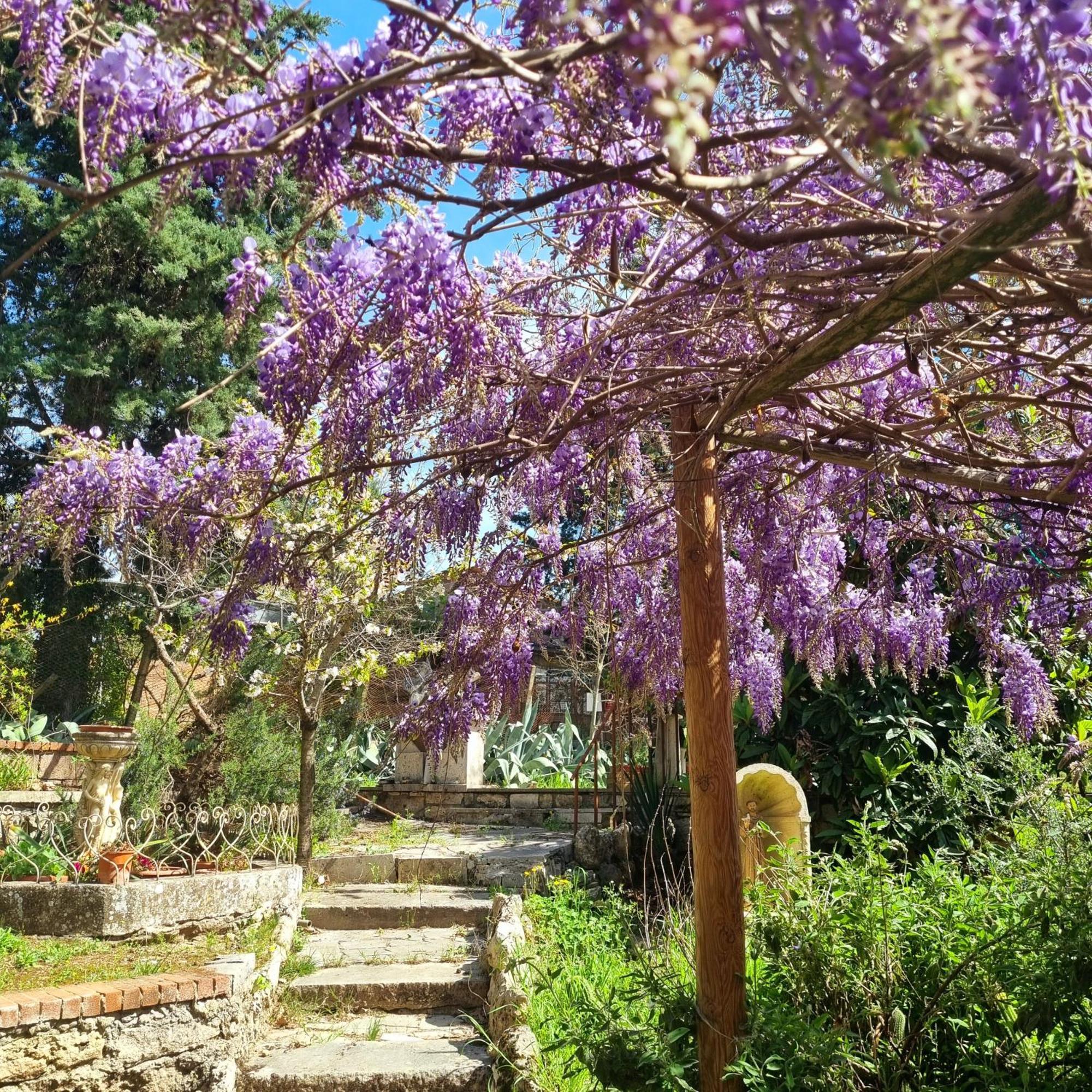 San Francesco Hotel Rapolano Terme Exterior foto
